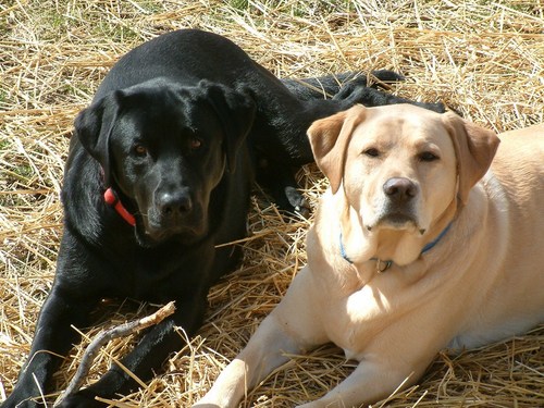 KyleBuelow's profile picture. Online Safety Expert