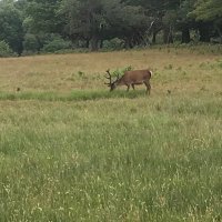 Oscar (@oscarvotes) 's Twitter Profile