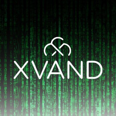 Xvand Technology Corporation specializes in serving small to mid-sized businesses in the greater Houston area. Feel free to contact us to learn more.