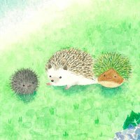 ちー (@chiiukh) 's Twitter Profile