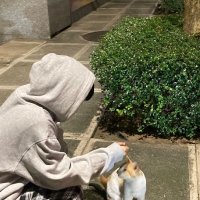 weras (@weras218617) 's Twitter Profile