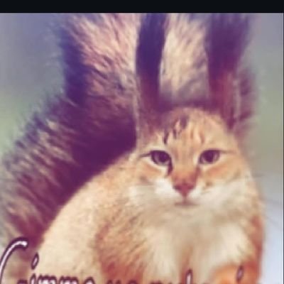 Wintern_22's profile picture. https://t.co/WthfpNFkUU