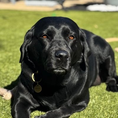 williambaumann3's profile picture. 🤙🏻🤙🏻