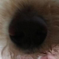 たり (@tarico_ex53) 's Twitter Profile