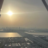 f (@otc_drug_pro) Twitter profile photo