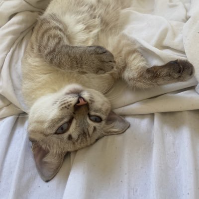 oistefanysouza's profile picture. o melhor que eu consegui ser