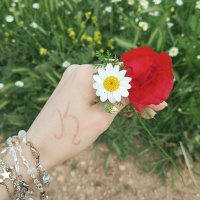 🌼 Küਊra (@yeter_be__) 's Twitter Profile