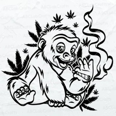 wilooxx's profile picture. 