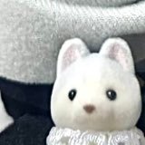 ミさんのプロフィール画像