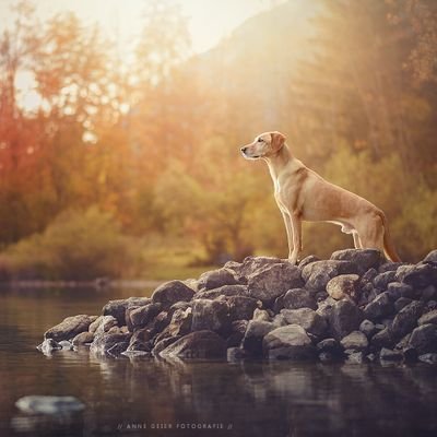 HSS797's profile picture. Question Everything.