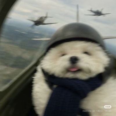 hmmshark's profile picture. wait