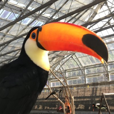 とりにく Profile