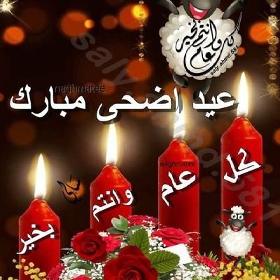 FayzMmdouh21503's profile picture. 