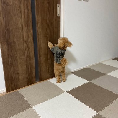 t0126m0121's profile picture. 