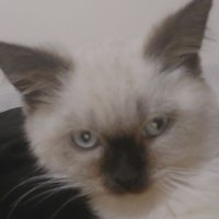 MrtKtk (@mrtktk01) 's Twitter Profile