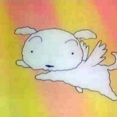 389m8to's profile picture. 두번째 계정정지