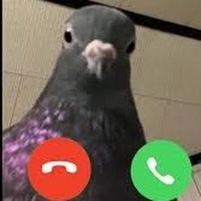 peopleforvvvvvv's profile picture. 