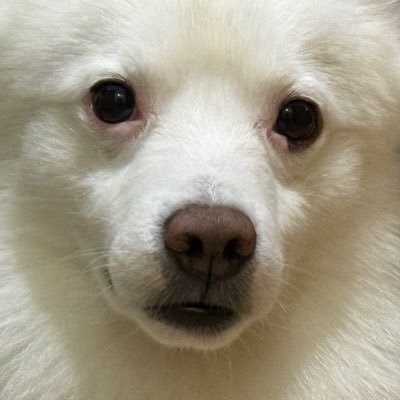 djasumin_'s profile picture. aesthete