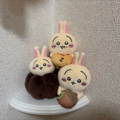 ぷちゃん最推しの箱推し。 ちいかわ好きさんと仲良くなりたいです。 #MrsGREENAPPLEもすき🍏