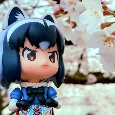 あらいサンさんのプロフィール画像