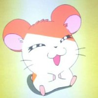 とっとことりひき太郎🐹(身内のみ) (@torihikitaro2) 's Twitter Profile
