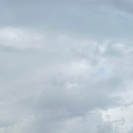 vradwgdpdpmg's profile picture. 20↑