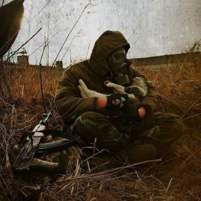 tahamtan717's profile picture. 