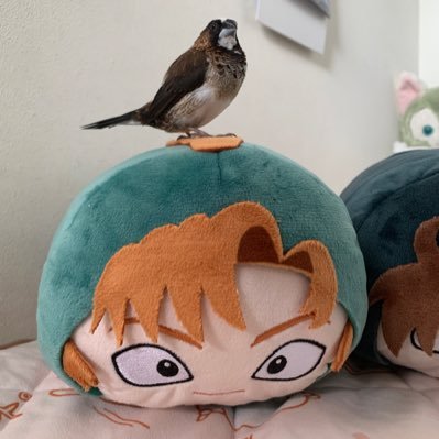 Limoniumstar's profile picture. 忍たま を推していきたい  俳優さんは、佐藤智広さん応援中※ お別れは、B解でお願いします