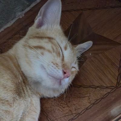 thtwwwww's profile picture. 