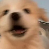 Mochi🐻 (@mochimochiiij) 's Twitter Profile Photo Mochi🐻 (@mochimochiiij) 's Twitter Profile Photo