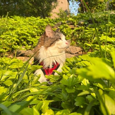 GDeace96308's profile picture. Artist|Writer|Software Engineer OSU ‘20 Columbia ‘25