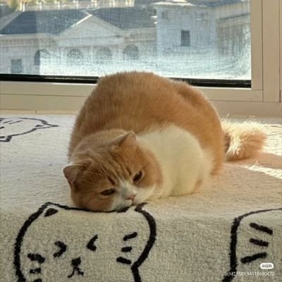 KimBora18's profile picture. 