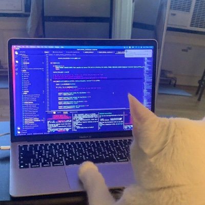 wulx3i's profile picture. Full Stack Web Developer 🌐 | Student at Taibah university🩵
