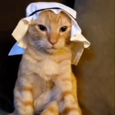Monkey__DDD's profile picture. 