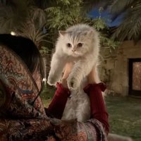 Maha (@_ma3aaa) 's Twitter Profile