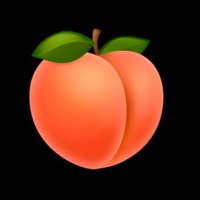 Obedient Analsluts (@owanalsluts) 's Twitter Profile