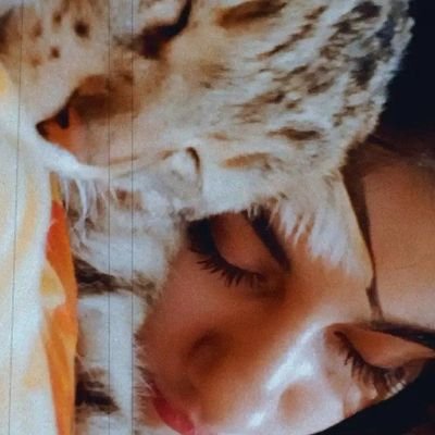 VFaghan's profile picture.