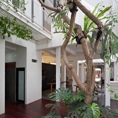 yflaimy's profile picture. 