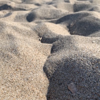 NehlVng's profile picture. 