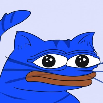 cato1ogist's profile picture. creator