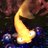 7_bluebell_7