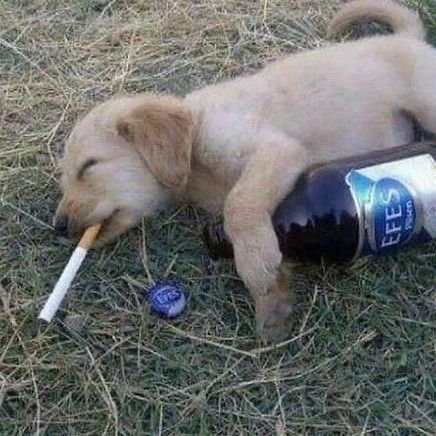 vvvljn's profile picture. 