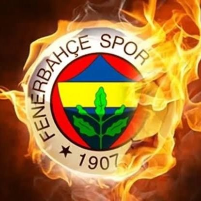 workhard1907's profile picture. Fener sevgisinin adı konamaz, ne kupa büyüklüğü ne şampiyonluk 💛💙