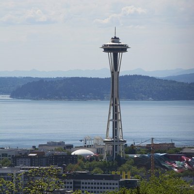 ChesterAlb97716's profile picture. 