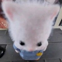 HAN (@_han__hanu) 's Twitter Profile