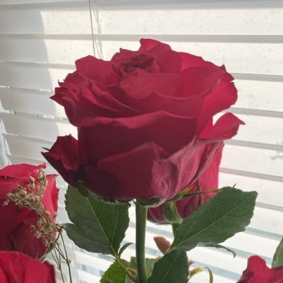 TarotByAris's profile picture. Weekly free collectives! DM me if anything resonates, I’d love to know 🔮🖤 ✨