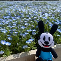 番犬のキュラ (@shibadorirrr1) 's Twitter Profile Photo