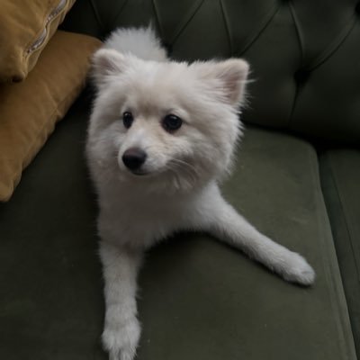 Kaan192192's profile picture. 