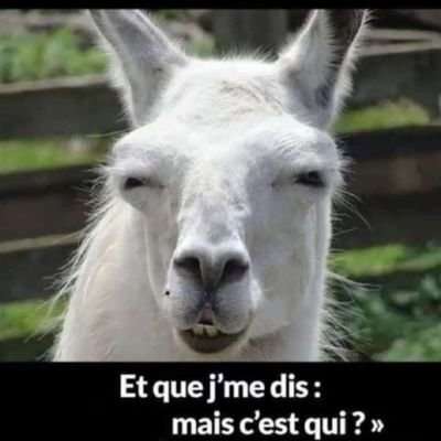 vivre ses rêves ne plus rêver sa vie 🥰