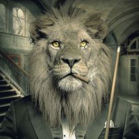 JACKSON ✨🏅 (@degenjack01) 's Twitter Profile Photo